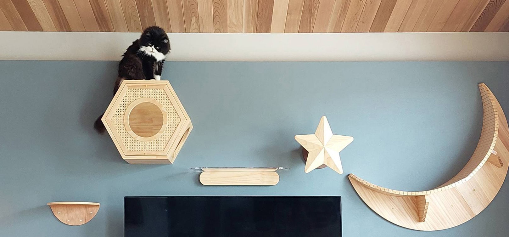 壁面に設けたキャットステップと猫のための居場所